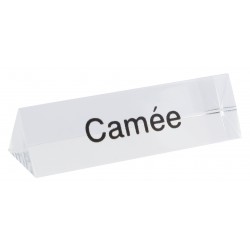 Bloc Plexi Signalétique Camée  35x10xht10 Lot