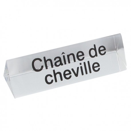 Bloc Plexi Signalétique Chaîne de cheville  3